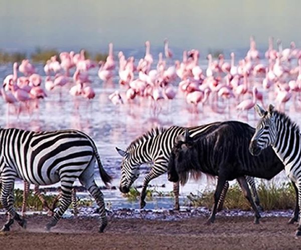 Nakuru