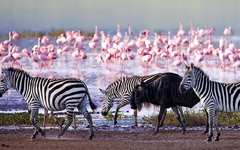 Nakuru, Kenya