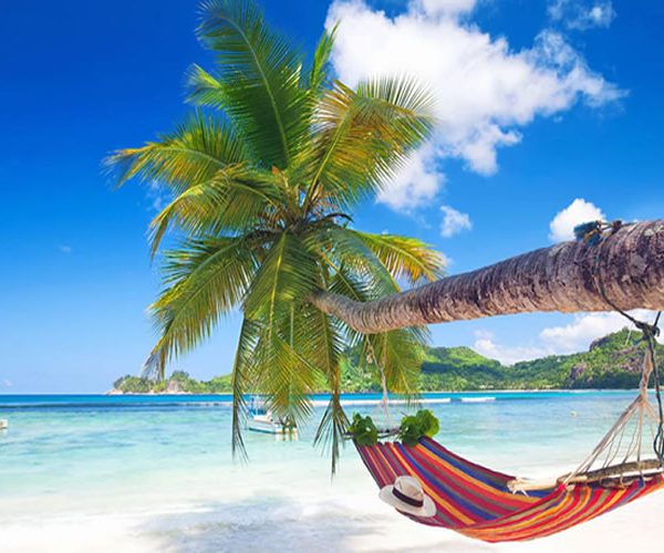 Tours and Travel