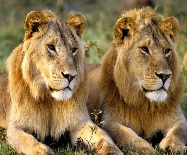 Tsavo National Park, Kenya